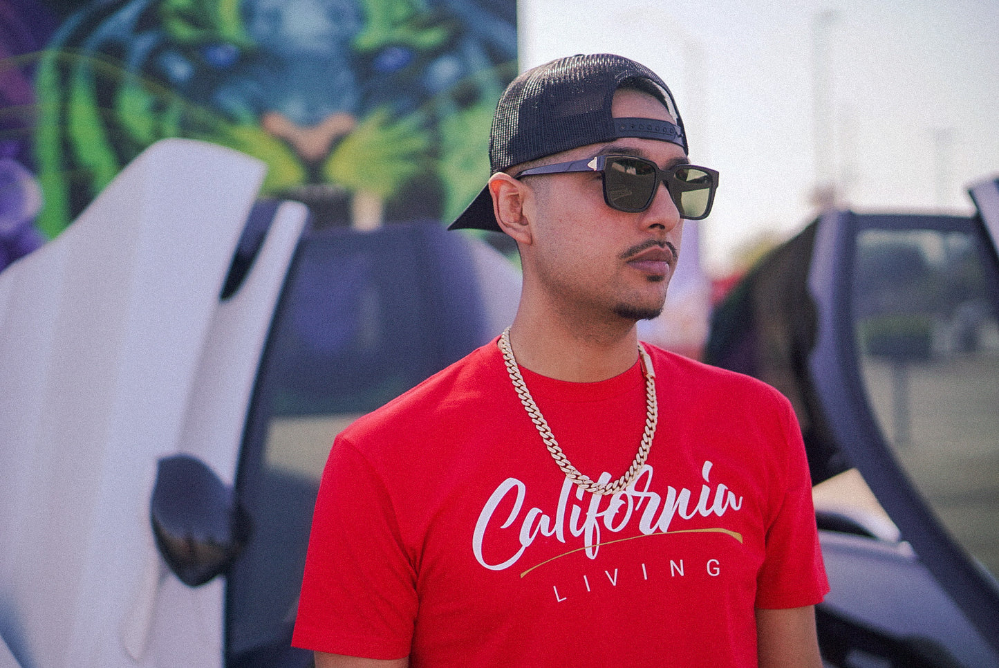 California Living in Red (FREE SHIPPING)