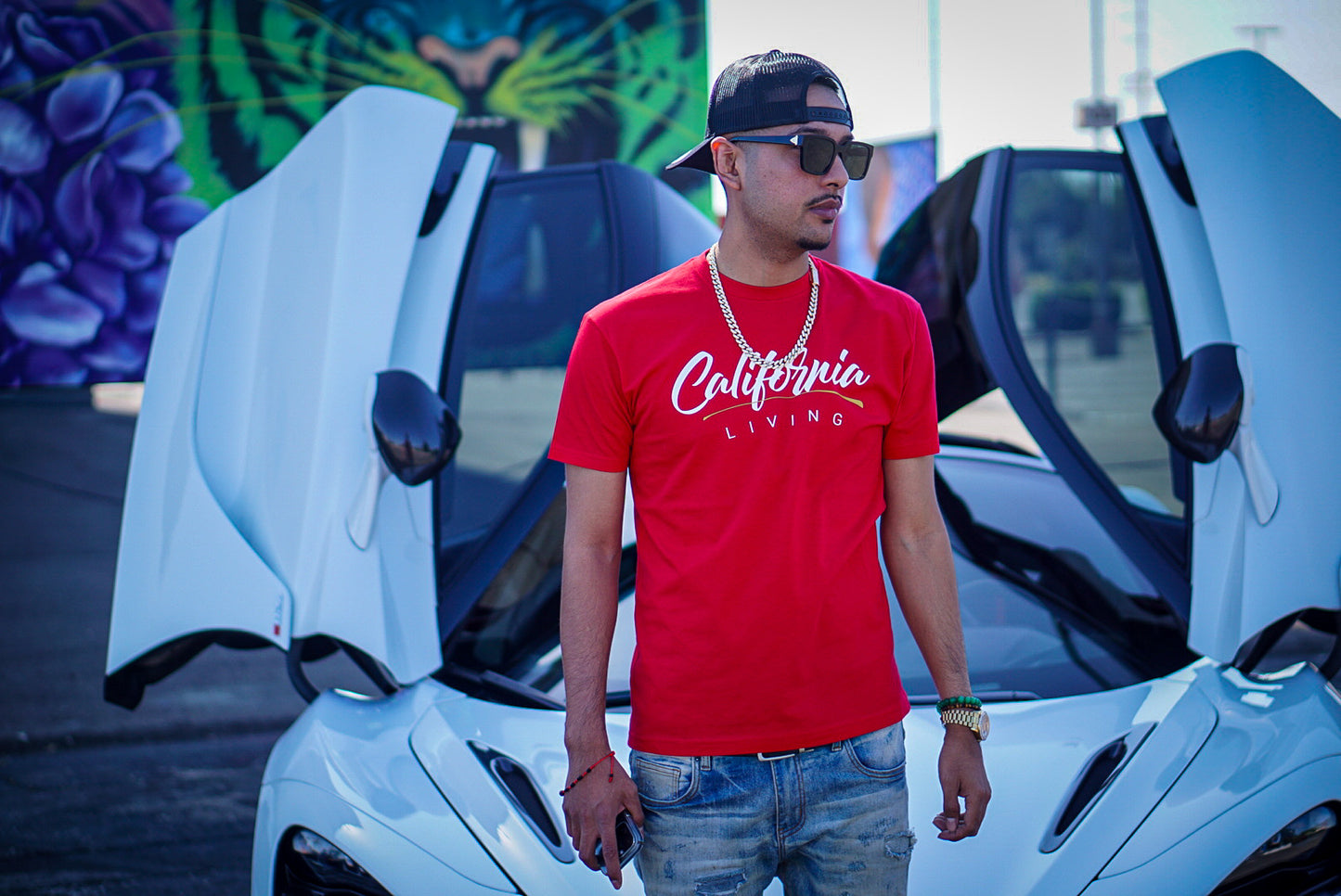 California Living in Red (FREE SHIPPING)