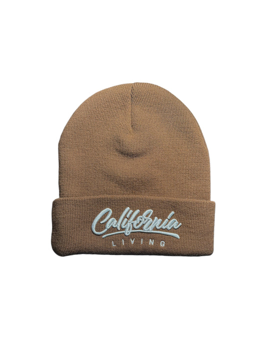 California Living Beanie in Brown