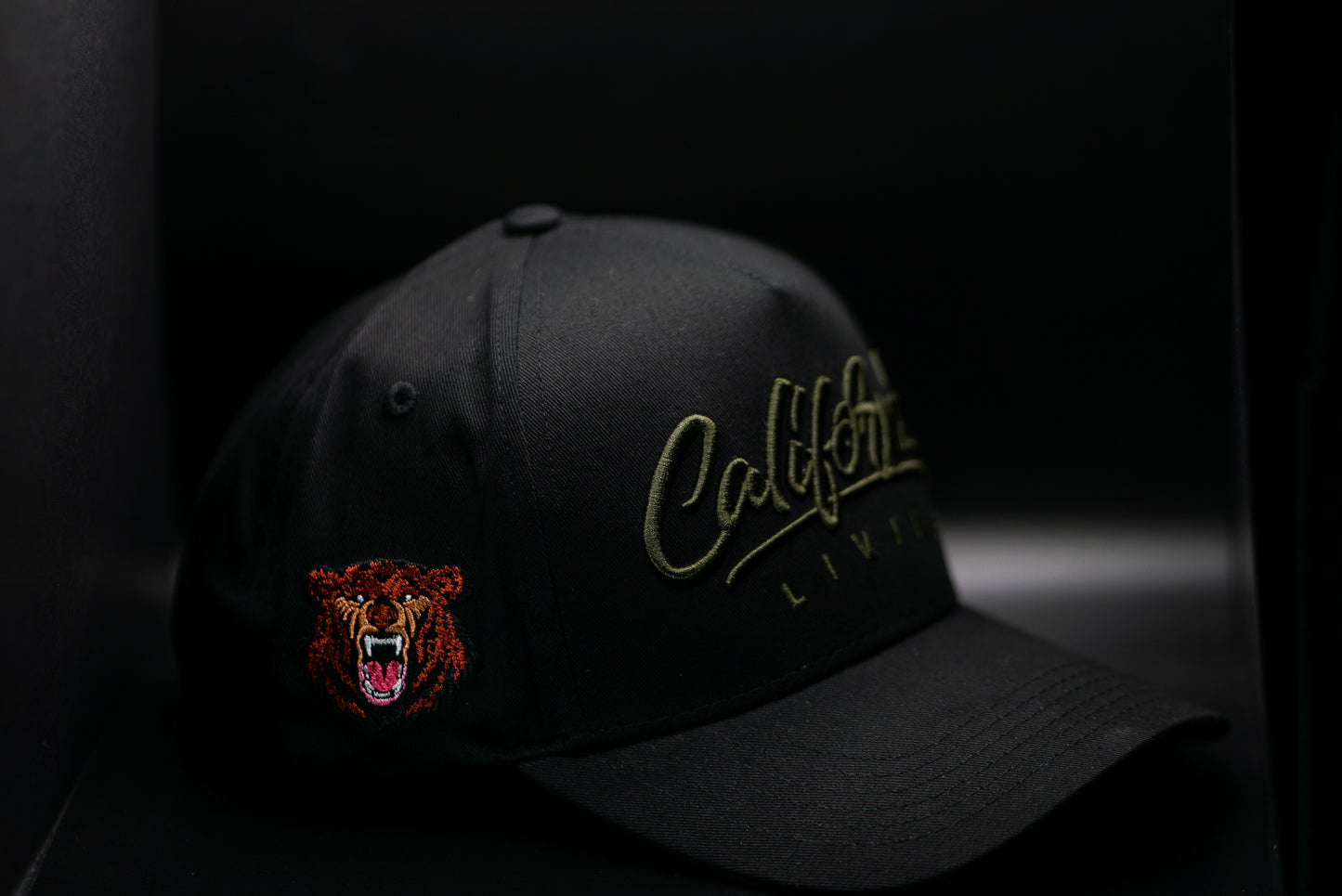 CL HAT IN FORREST GREEN