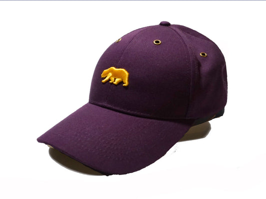 Purple and Gold Cap